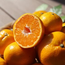 제주 감귤 당도선별 5kg 로열과 (2S~M)