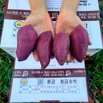 미소진 꿀고구마 햇고구마. 전사이즈별. 3kg 5kg 10kg, 중