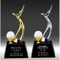 상패타운 이글패 싱글패 홀인원패 골프트로피 이글트로피 HT 306-8, HT 306-8 금색