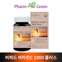 팜그린 버퍼드 비타민C 1000 플러스 1600mg x 90정 철분 항산화 면역력 증가, 2개