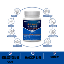 비아르클로젯 상어연골 콘드로이친 프리미엄 관절 뼈건강 영양제 1000mg 90정 3개월, 2개