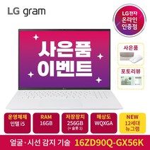 2022 LG전자 그램 16ZD90Q-GX56K (40.6cm 인텔12세대 앨더레이크 CPU NVMe 256GB 16GB), FreeDOS, 16GB, 768GB, 코어 i5, 화이트