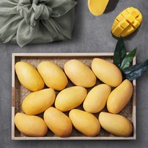 후레쉬망고 [후레쉬망고][선물세트]열대과일의 여왕! 필리핀 후레쉬 망고 2.5kg(12과), 단일옵션