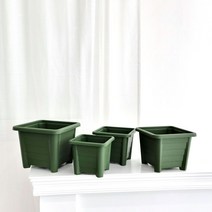 사각 그린플렌터 포트 화분 11호 34x27cm 23663ea, 장연다육 본상품선택