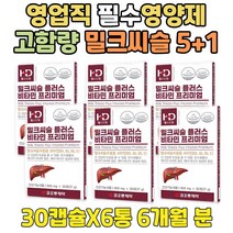 고함량 밀크씨슬 추천 영업직 필수 간 건강 영양제 단체회식 음주 후 폭음 과음 맞춤 실리마린 전 ALDH 건기식 사무직 회사원 서비스직 비타민B 콤플렉스 밀크 씨유 시슬 B6