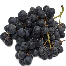 FUNET 딸기포도 솜사탕 청포도, 1박스, 51_국산 캠벨 포도 1kg