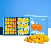 [추석선물] 제주 산지직송 감귤 황금향 선물세트 반반세트, 귤+황금향(종합선물세트), 4kg