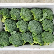 브로콜리 2kg
