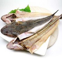 나로도 건양태(장대)3~5미(1.3kg내외/45cm내외), 단품