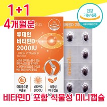 식약청 식약처 인정 인증 루테인 비타민 D 식물성 미니 캡슐 캡술 루테린 류테인 뉴태인 누태인 눈 건강 좋은 음식 홈쇼핑 침침 흐릿 뻑뻑 공시생 수험생 학생 직장인 중년 40대, 1+1 4개월분 - 다니마켓