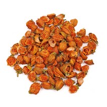 동의한재 국산 햇 치자 열매 3kg