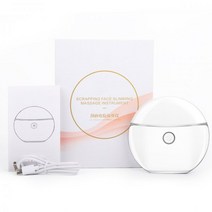 가열 ems 주파수 전기 마사지 얼굴 진동 스크래핑 Gua Sha 도구 레드 라이트 테라피 페이스 리프트 슬리밍 악기 스킨 케어 4 모드 미세 전류, white