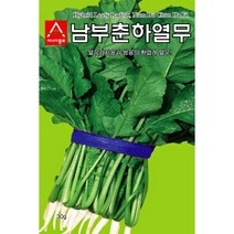 남부 춘하 열무 씨앗 20g 열무김치 쌈 종자 기르기 쉽고 맛 좋고 수확량 많은 주말 농장 텃밭 채소 김장 농사