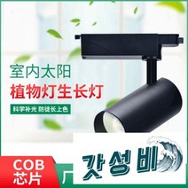 등 풀스펙트럼 원예 꽃집 다육보광등 벽 레일등, 10w [블랙 ]4000K