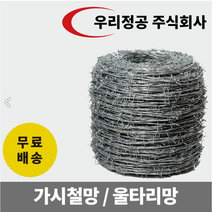가시철조망 50M 100M 가시철망 가시철사 군대담장 방범용