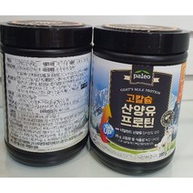 단백질팔레오분말산양유 추천 인기 판매 순위 TOP