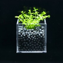 미미네아쿠아 어항수초 컨테이너 펄그라스 세트, 단품없음