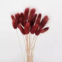 토끼 꼬리 말린 꽃 솜털 팜파스 잔디 소박한 웨딩 장식 홈 30 개, 10 grey red_02 100pcs