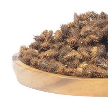 두손애약초 도꼬마리, 300g, 1개