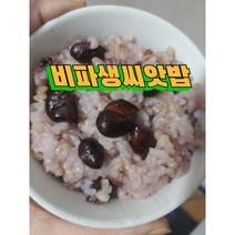 완도산 비파생씨앗 100G 밥에넣어드시면좋은 비파씨앗, 1개