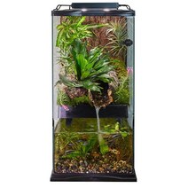 Zoo Med Paludarium - 30.5cm x 61cm(12인치 12인치 24인치) 11.2L(4갤런) 블랙 1280414
