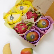 설명절 선물 보자기포장 프리미엄 과일선물세트 열대과일혼합 망고랑 용과랑 선물세트