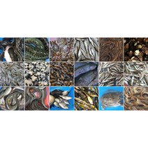 민물고기 메기 빠가 붕어 가물치 잉어 향어 미꾸라지 장어 잡고기 새우 빙어 우렁 달팽이, 1천원, 1개