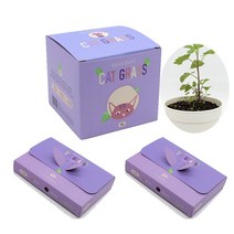 캣그라스 리필세트 고양이풀 화분 식물키우기 캣닢 귀리 밀 보리 재배 반려묘 헤어볼 작물 새싹 간식 씨앗, 캣닢세트(본품1개+리필키트2개)