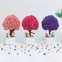 스칸디아모스 화분 그늘에서잘자라는 집에서키우기좋은 관리쉬운공기정화 식물, 레드