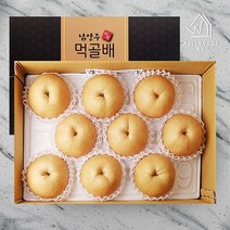 [웰굿]남양주 명품 먹골배 선물세트(7.5kg 8-10과 대-왕특과)