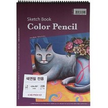 세르지오 색연필 전용스케치북A3 18매, A3