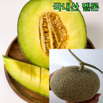 국내산 멜론 4kg 8kg 제주 멜론 머스크 멜론 도당도 멜론 후숙과일, 국내산 멜론 선물용패킹 4kg
