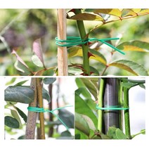 2+1 고추농사 오이 철사타이 주말농장 식물고정끈 나팔꽃 딸기 토마토 가지 지지대 총 90M
