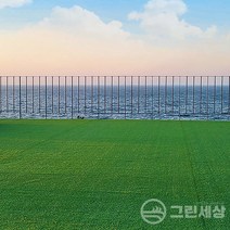 그린세상 국내산 조경용 고밀도 인조잔디 폭1M X 길이5M 재단판매 1.5평시공, PX2800K(고밀도), 폭1M x 길이5M(1.5평)