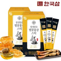 한국삼 정성담은 벌꿀홍삼스틱 30포 실속형, 2box