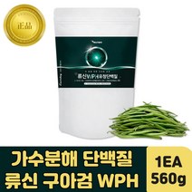 포대 구아검 류신 단백질 쉐이크 식사대용 가수분해물 WPH 좋은 보충제 프로틴 가루 구아콩 PROTEIN 멸치탈출 남자 남성 여자 여성 류신 로이신 BCAA WPC 식단 헬스
