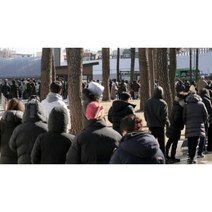 1+1 에버랜드 롯데월드 서울랜드 놀이동산 대기줄 줄서기 웨이팅 청소년 접의식 간의의자, 레인보우 (오렌지2)