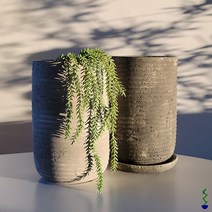 식물시간 siw pot 3color 2size 기다란 원형 시멘트 화분 빈티지 긴 화기, 차콜, 1개