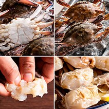 봄꽃게철 꽃게철 국내산손질절단꽃게600g, 국내산 절단꽃게 5kg (벌크포장)