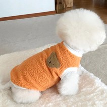 가을 푸들 강아지 미니 비숑 반려동물 고급 겨울 옷 뽀글이, 귤색 + L등 길이 35cm (8-10근 권장)