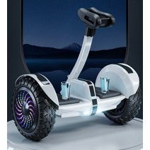 세그웨이 이륜 2륜 전동 보드 균형 나인봇 블랙 경량, O 54V 플래그십 오프로드 화이트 5개의 컨트롤/방향, 54v