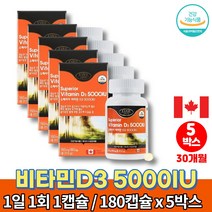 트레이더스 햇빛 메가 고함량 비타민d 5000iu 권장량 고르는법 VITAMIND3 60대 70대 80대 노인 할아버지 할머니 비타민D 영양제, 5박스