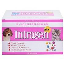 인트라젠 플러스 분말 반려동물 영양제, 100개