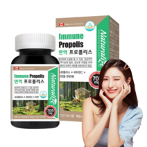 캐나다 프리미엄 프로폴리스 플라보노이드 캡슐 만성 염증 영양제 알약
