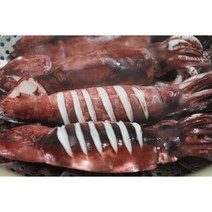국내산 통오징어 특대오징어 오징어찜 오징어통찜 생물오징어 오징어 해물찜 3미 600g 대용량