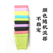 꽃 받침대 월계 두꺼운 측 대야 플라스틱 식물 입체 미니 사이즈 경치 많다 고기 비닐 화분 특 1768871528, 수퍼 복권방 7번 멜란 30 개