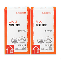 닥터루템 헤모어 락토 철분 빈혈 비헴철 철분제, 60정, 2개
