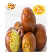 햇 사과대추 왕대추 선물, 사과대추 1kg(40과수내외 특~왕특)