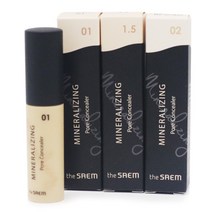 더샘 미네랄라이징 포어 컨실러프라이머+3중기능커버, 1호 클리어베이지, 더샘 미네랄라이징 포어 컨실러/