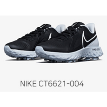 나이키 골프 [나이키골프 정품] 리액트 인피니티 프로 남녀 골프화 CT6621